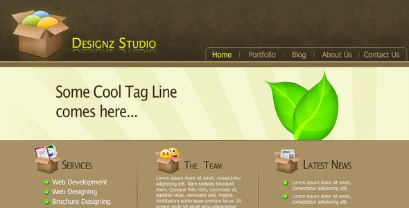 Designz Studio Template