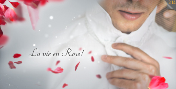 After Effects Project - VideoHive La Vie en Rose Wedding template 542940 After Effects Project - VideoHive La Vie en Rose Wedding template 542940