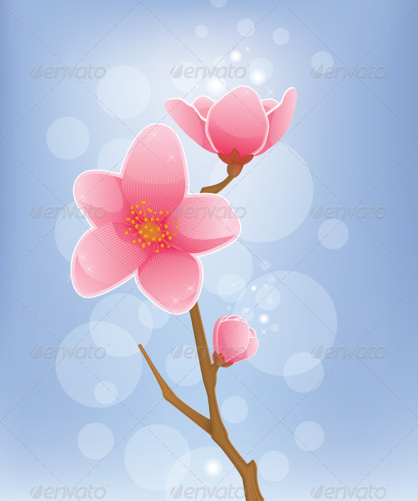GraphicRiver Spring Concept Cherry Blossom 5727609