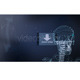 X-Ray X-Ray - VideoHive Item for Sale