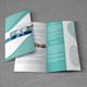Bifold Brochure For Business - 2 Color Version Bifold Brochure For Business - 2 Color Version