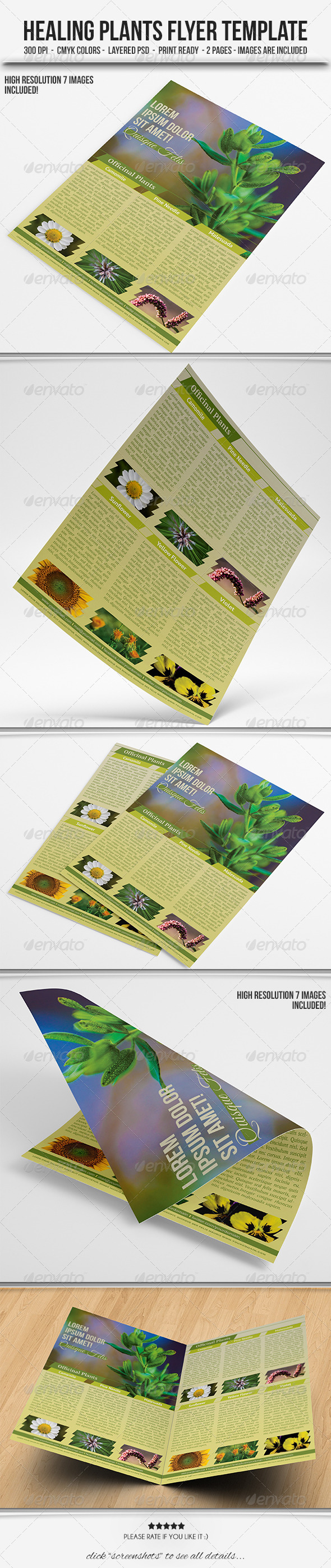 GraphicRiver Healing Plants Flyer Template 4903586 GraphicRiver Healing Plants Flyer Template 4903586