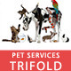 Pet Services Trifold Pet Services Trifold - GraphicRiver Item for Sale