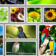 Collage Photo Frame Template Vo 1 Collage Photo Frame Template Vo 1 - GraphicRiver Item for Sale