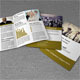 Bifold Brochure-Business Bifold Brochure-Business