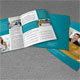 Bifold Brochure-Business Bifold Brochure-Business
