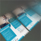 Busines Flayer Busines Flayer