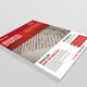 Busines Flayer Busines Flayer