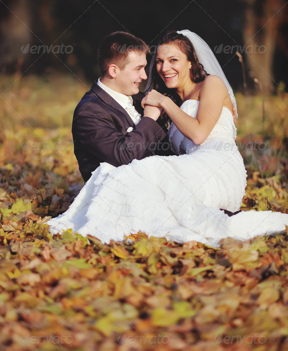 Smiling young wedding couple (Misc) Photo Download