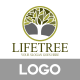 Life Tree Logo Template Life Tree Logo Template - GraphicRiver Item for Sale