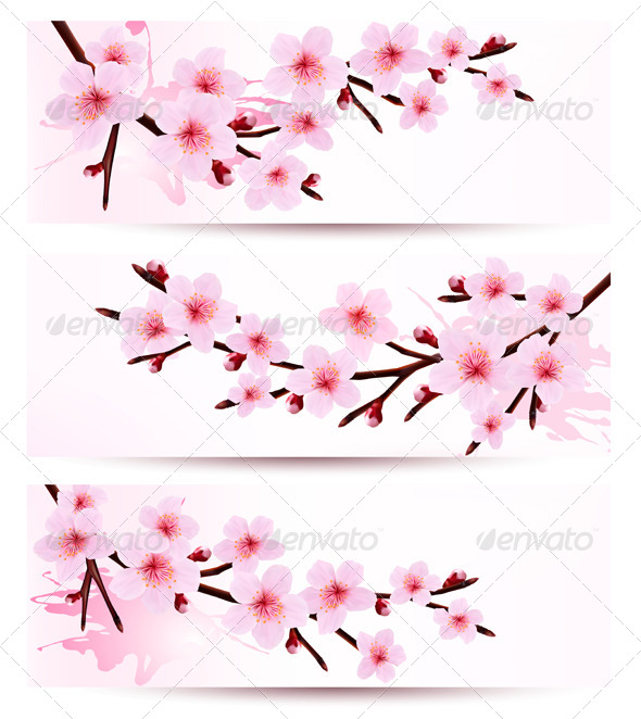 Frame Bunga Sakura Dondrup Com