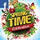 Spring Celebration Facebook Timeline Spring Celebration Facebook Timeline - GraphicRiver Item for Sale
