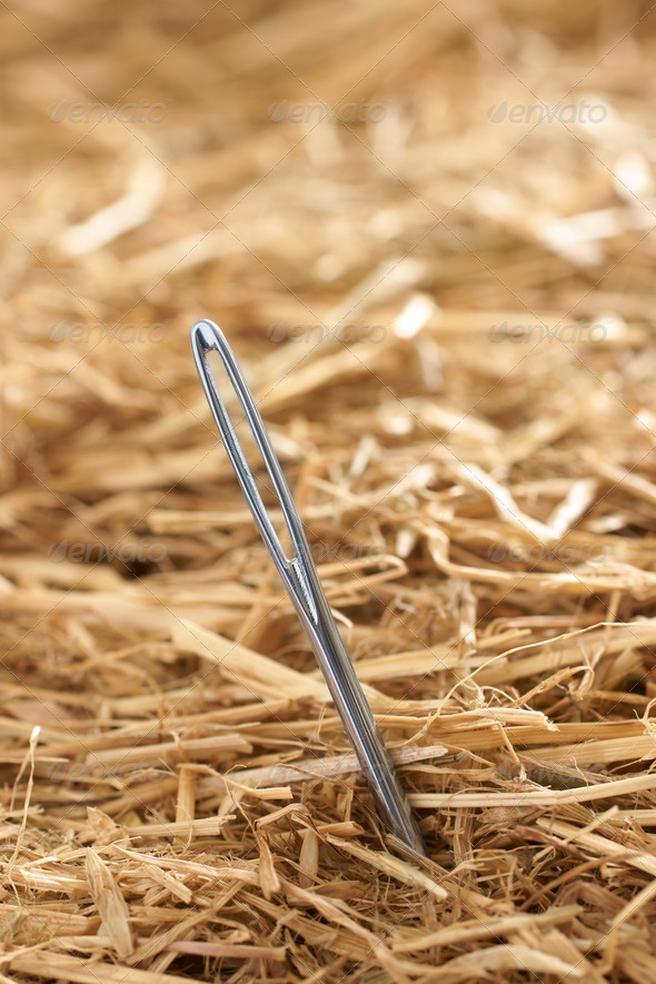 Needle in a Haystack (Misc) Photo Download