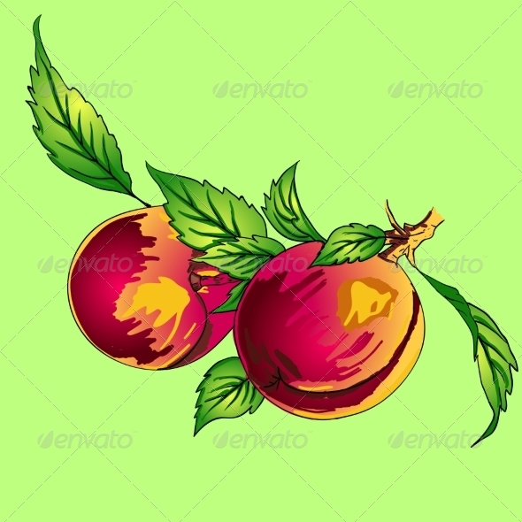 GraphicRiver Peaches 7201455 GraphicRiver Peaches 7201455