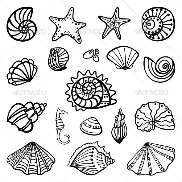 GraphicRiver Set of Seashells on White Background 7201604 GraphicRiver Set of Seashells on White Background 7201604