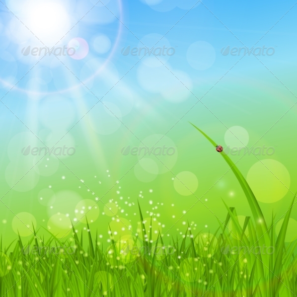 GraphicRiver Summer Abstract Background with Grass 7207517 GraphicRiver Summer Abstract Background with Grass 7207517