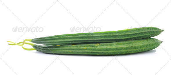 Ridge gourds over white background (Misc) Photo Download