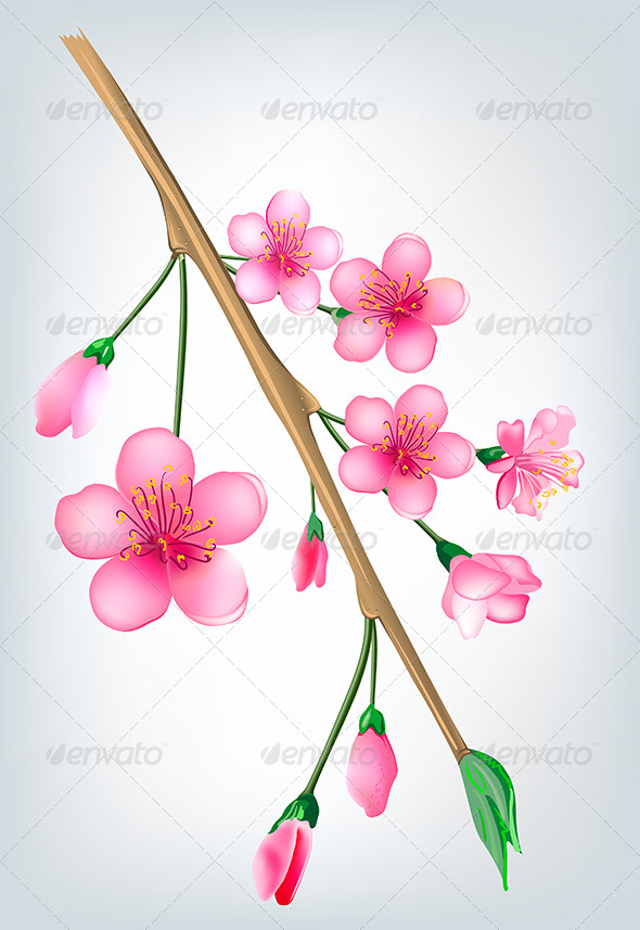 Sakura Blossom Branch (Flowers & Plants)