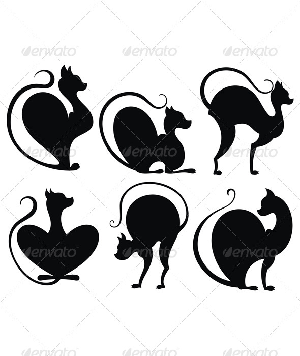 Black Cats (Animals)