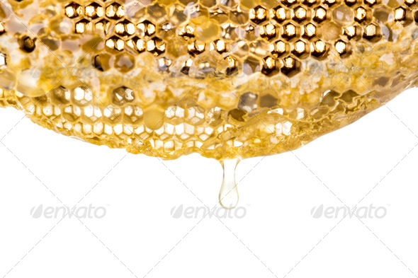 Fresh honey in comb (Misc) Photo Download