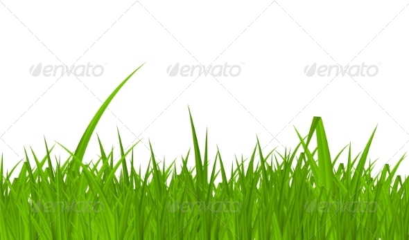 GraphicRiver Summer Abstract Background with Grass 7247291 GraphicRiver Summer Abstract Background with Grass 7247291