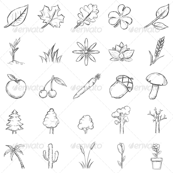 GraphicRiver Vector Set of Sketch Plants Icons 7252435 GraphicRiver Vector Set of Sketch Plants Icons 7252435