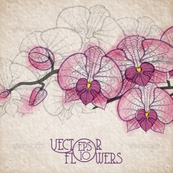 GraphicRiver Hand Drawing Orchid Flower 7263087 GraphicRiver Hand Drawing Orchid Flower 7263087