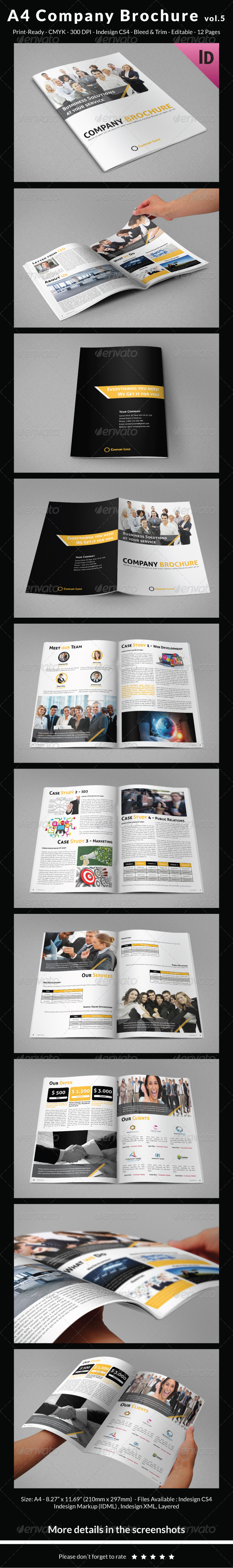 GraphicRiver A4 Company Brochure vol.5 7243484 GraphicRiver A4 Company Brochure vol.5 7243484