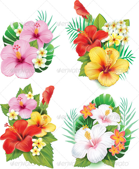 GraphicRiver Arrangement from Hibiscus Flowers 7279513 GraphicRiver Arrangement from Hibiscus Flowers 7279513