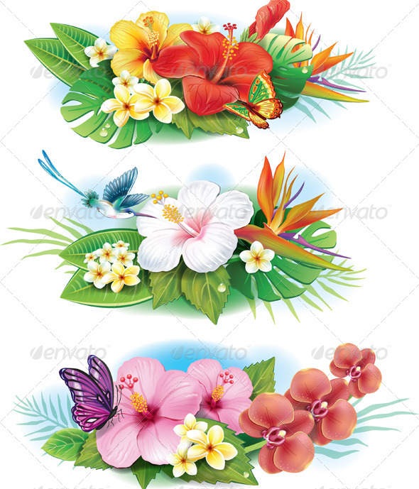 GraphicRiver Arrangement of Tropical Flowers 7292161 GraphicRiver Arrangement of Tropical Flowers 7292161