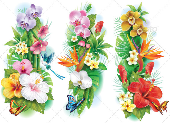 GraphicRiver Arrangement of Tropical Flowers and Leaves 7292283 GraphicRiver Arrangement of Tropical Flowers and Leaves 7292283