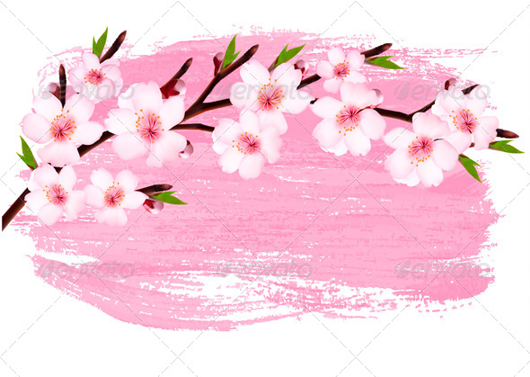  Gambar  Gambar  Background Bunga  Sakura  Dolunai Graphicriver 