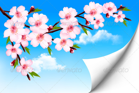 GraphicRiver Spring Background of a Blossoming Tree Branch 7294117 GraphicRiver Spring Background of a Blossoming Tree Branch 7294117