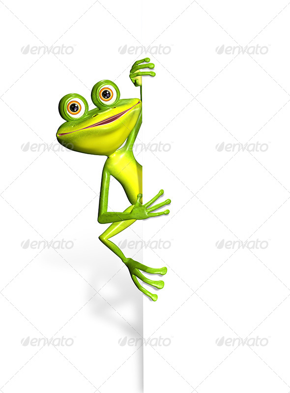 GraphicRiver Frog and white background 7294614 GraphicRiver Frog and white background 7294614