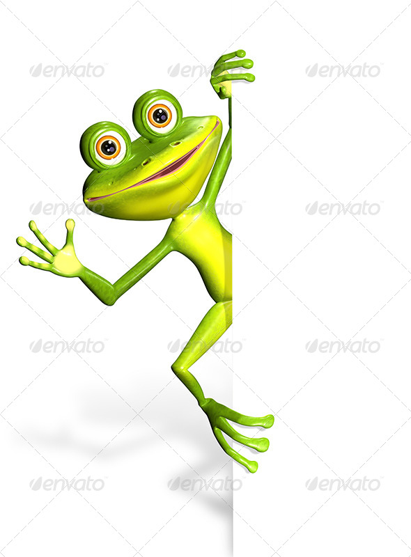 GraphicRiver Frog and white background 7294640 GraphicRiver Frog and white background 7294640