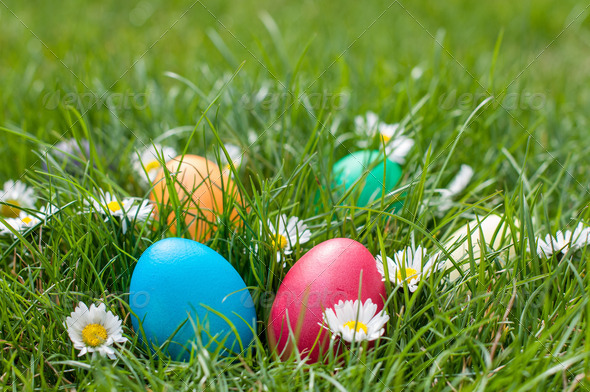 Easter hunt (Misc) Photo Download