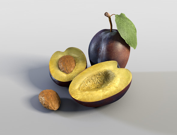 3DOcean Plum 7298463 3DOcean Plum 7298463