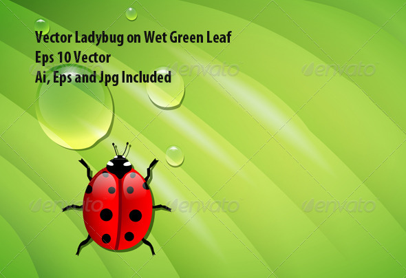 GraphicRiver Ladybug on Green Leaf 7299899 GraphicRiver Ladybug on Green Leaf 7299899