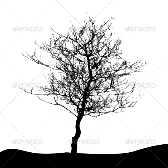 GraphicRiver Tree Silhouette Isolated on White Background 7299950 GraphicRiver Tree Silhouette Isolated on White Background 7299950