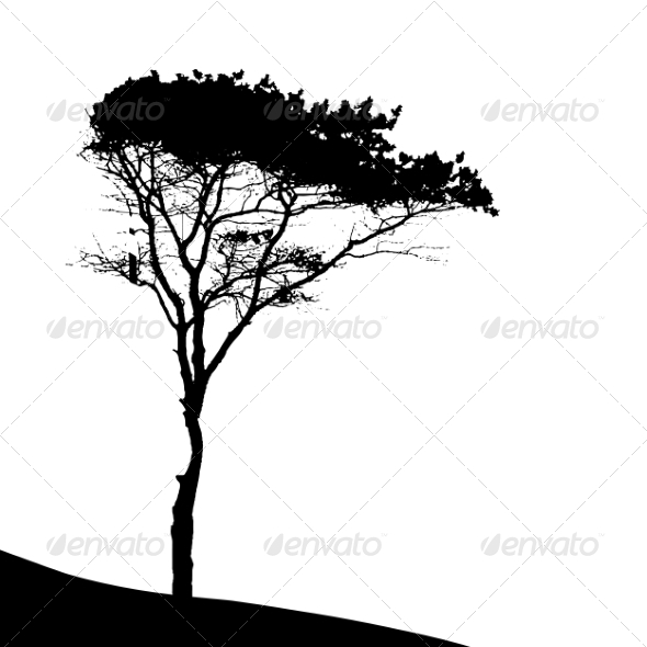 GraphicRiver Tree Silhouette Isolated on White Backgorund 7299955 GraphicRiver Tree Silhouette Isolated on White Backgorund 7299955
