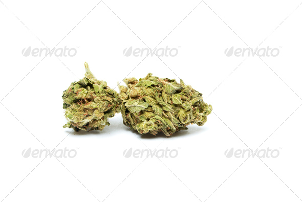 Marijuana (Misc) Photo Download