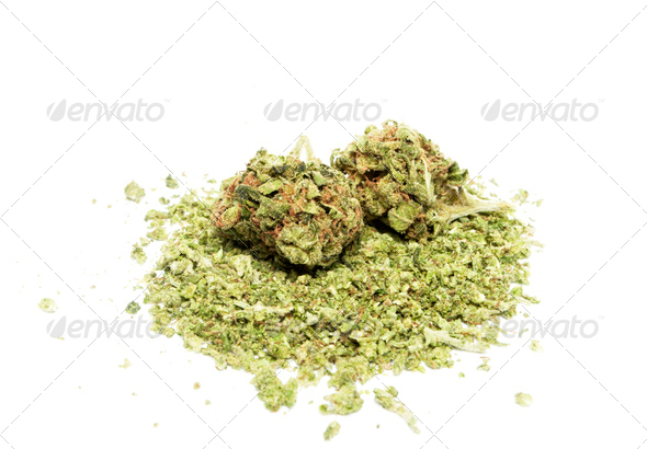 Marijuana (Misc) Photo Download