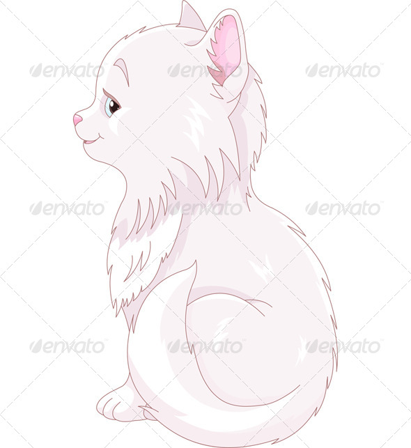 White Cat (Animals)