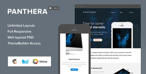ThemeForest Panthera Responsive Email & Themebuilder Access 7311228 ThemeForest Panthera Responsive Email & Themebuilder Access 7311228