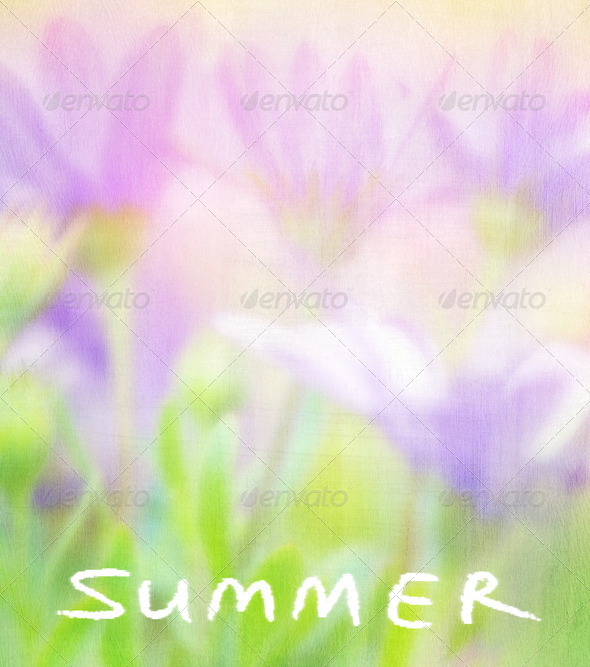 Summer flowers card (Misc) Photo Download