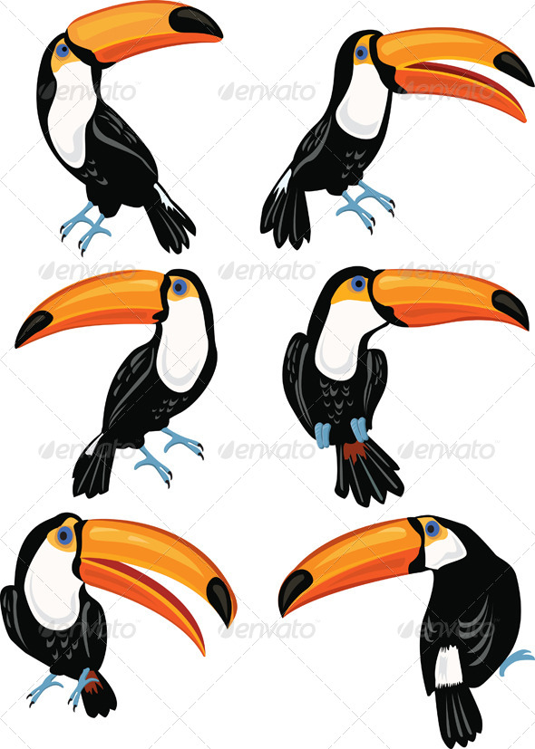 GraphicRiver Set of Toucans 7323427 GraphicRiver Set of Toucans 7323427