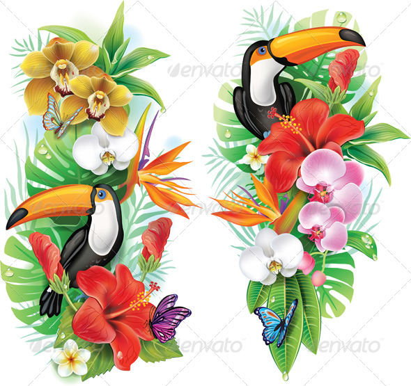 GraphicRiver Tropical Flowers Toucan and Butterflies 7341607 GraphicRiver Tropical Flowers Toucan and Butterflies 7341607