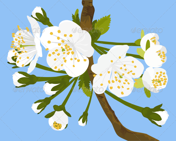 GraphicRiver Cherry Blossom Vector Illustration 7342964 GraphicRiver Cherry Blossom Vector Illustration 7342964