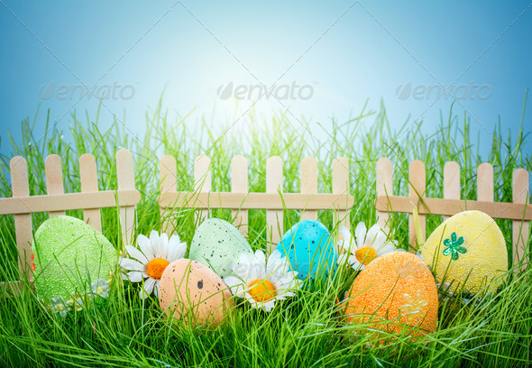 Decorated easter eggs (Misc) Photo Download