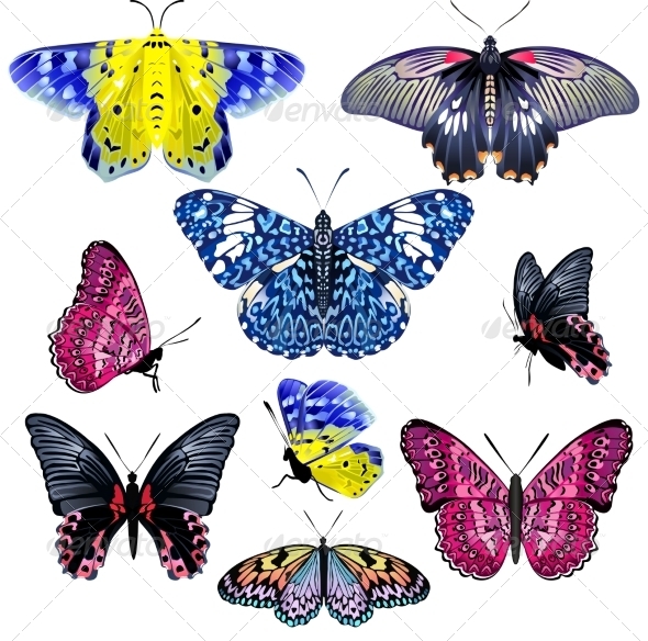 GraphicRiver Set of Colorful Realistic Isolated Butterflies 7351867 GraphicRiver Set of Colorful Realistic Isolated Butterflies 7351867